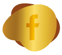 Load image into Gallery viewer, Set up Facebook Pixel - MS Web Designer