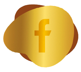 Set up Facebook Pixel - MS Web Designer