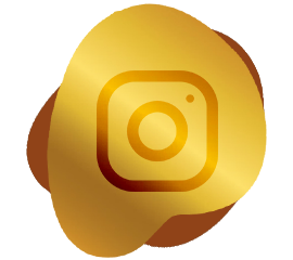 Display Instagram Feed On Home Page - MS Web Designer